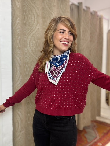 JERSEY  BRILLI GRANATE