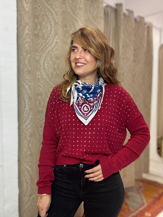 JERSEY  BRILLI GRANATE