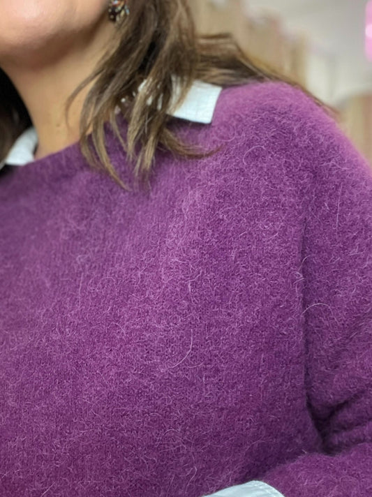JERSEY  PURPURA
